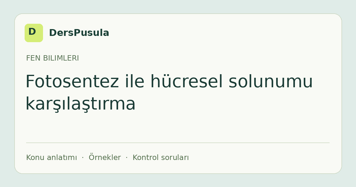 Fotosentez ile hücresel solunumu karşılaştırma için DersPusula konu kartı